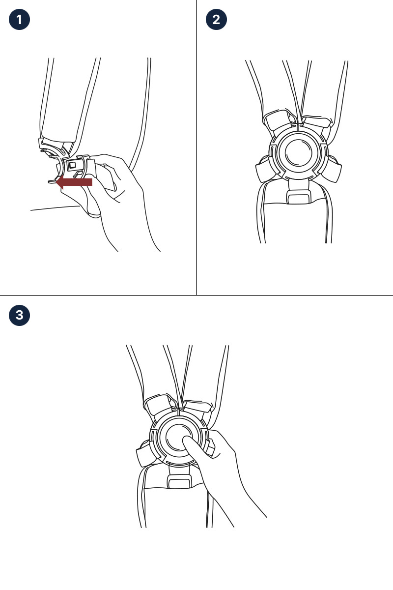 5점식 안전벨트